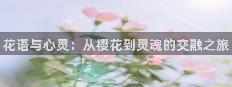 韩漫漫画正版网：花语与心灵：从樱花到灵魂的交融之旅