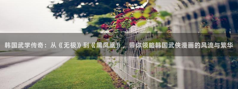 colomanage漫画官网：韩国武学传奇：从《无极》到《黑凤凰》，带你领略韩国武侠漫画的风流与繁华
