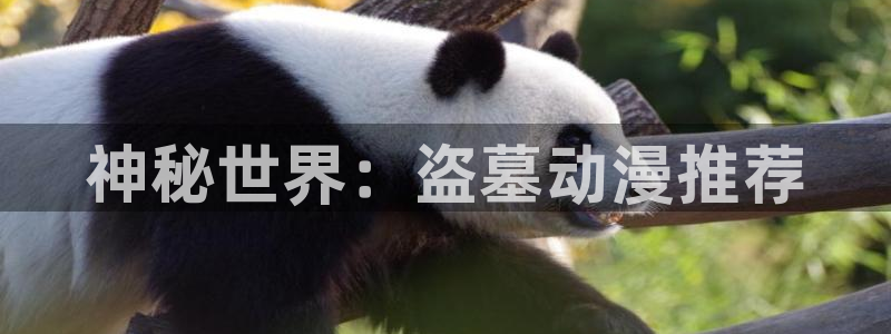 colamanage漫画官网：神秘世界：盗墓动漫推荐