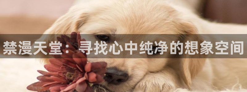 lovestage漫画免费阅读：禁漫天堂：寻找心中纯净的想象空间