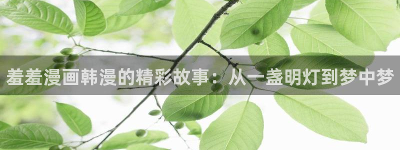 lovestage漫画免费阅读：羞羞漫画韩漫的精彩故事：从一盏明灯到梦中梦