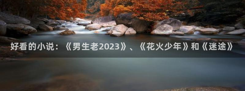 韩漫漫画网下载：好看的小说：《男生老2023》、《花火少年》和《迷途》