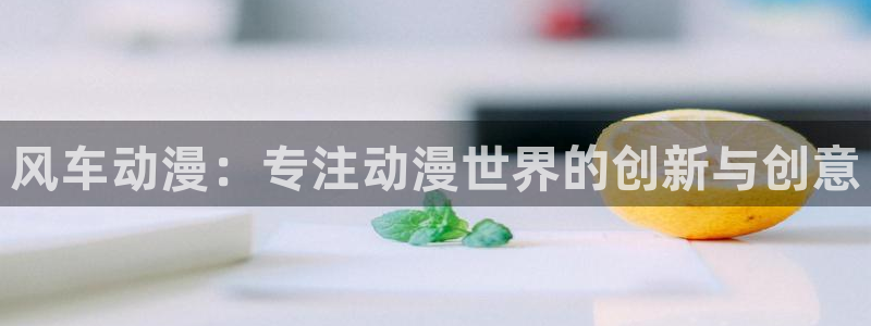 韩漫漫画官网网址：风车动漫：专注动漫世界的创新与创意