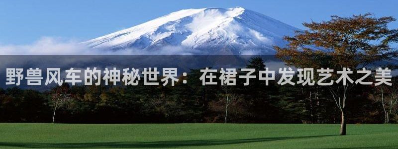 kakaopage韩漫官网：野兽风车的神秘世界：在裙子中发现艺术之美