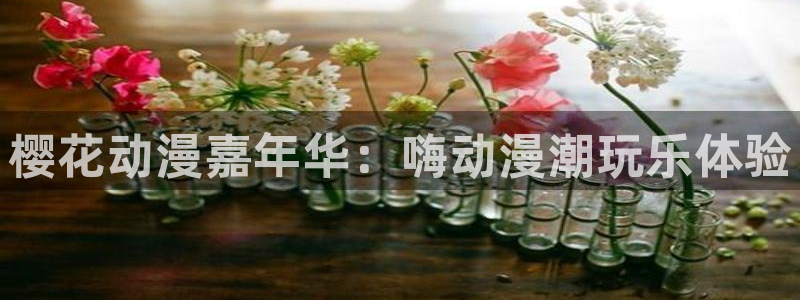 韩漫漫画官网入口老版本：樱花动漫嘉年华：嗨动漫潮玩乐体验